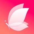 最好看的2019中文大全电影