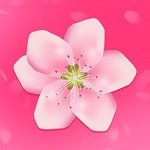 OnlyFans播放器免费下载