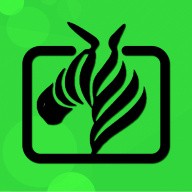 红豆视频免费版