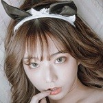 荷花6616TV播放器免费下载