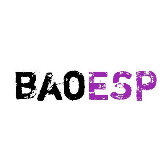 baoesp最新卡密版免root直装